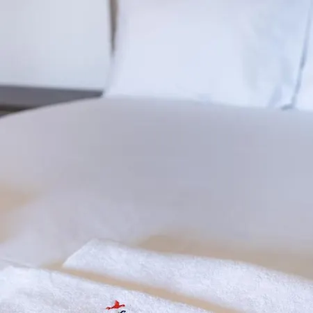 Appartement Flh Cozy Funchal (Madeira)